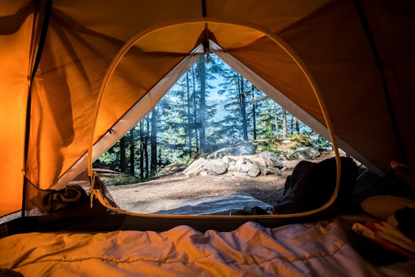 Tent nestled among towering old-growth forest trees